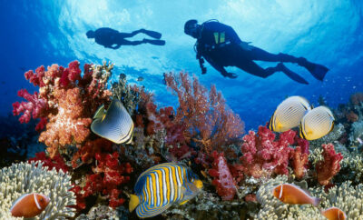 Diving in Puerto Aventuras