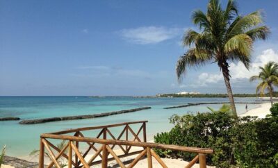 Explore Puerto Aventuras